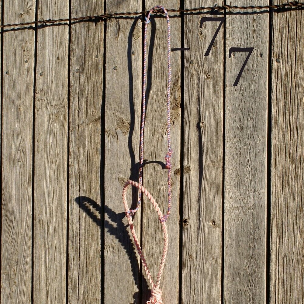 Bosalita Lariat Rope Western Horse Training Cavesson/Cowboy Caveson Noseband - Picture 2 of 5